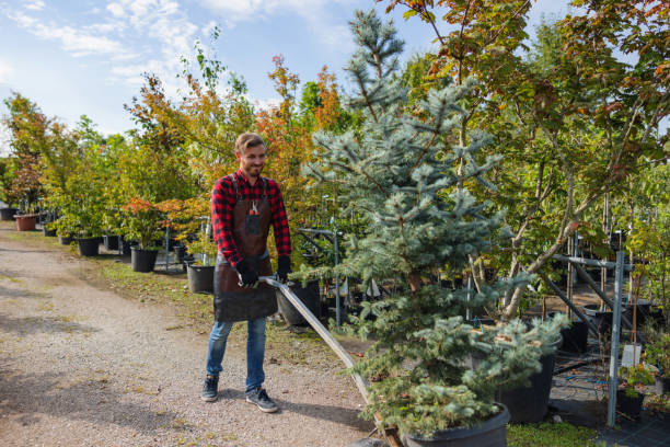 Best Tree Trimming and Pruning  in Oakland, CA